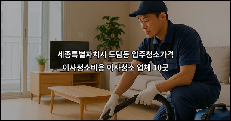 세종특별자치시 도담동 입주청소가격 이사청소비용 이사청소 업체 10곳