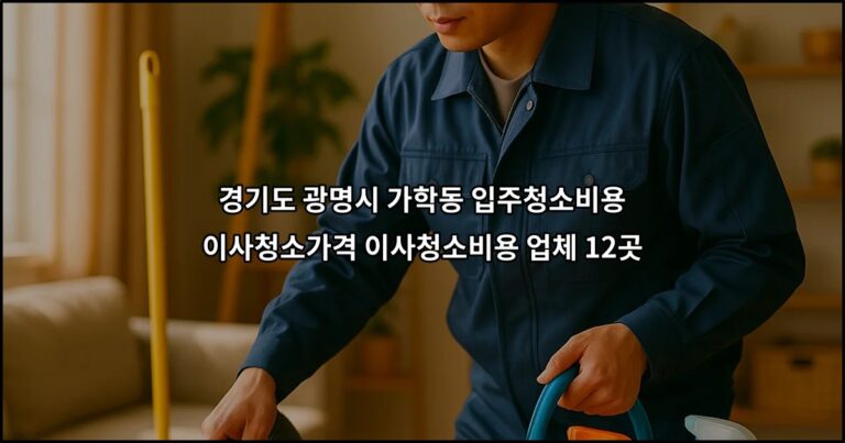 경기도 광명시 가학동 입주청소비용 이사청소가격 이사청소비용 업체 12곳