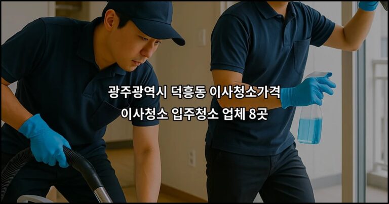 광주광역시 덕흥동 이사청소가격 이사청소 입주청소 업체 8곳