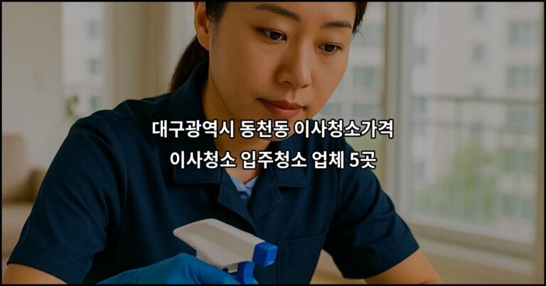 대구광역시 동천동 이사청소가격 이사청소 입주청소 업체 5곳