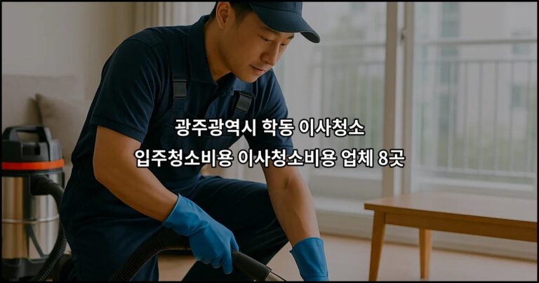 광주광역시 학동 이사청소 입주청소비용 이사청소비용 업체 8곳