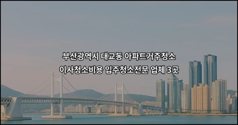부산광역시 대교동 아파트거주청소 이사청소비용 입주청소전문 업체 3곳